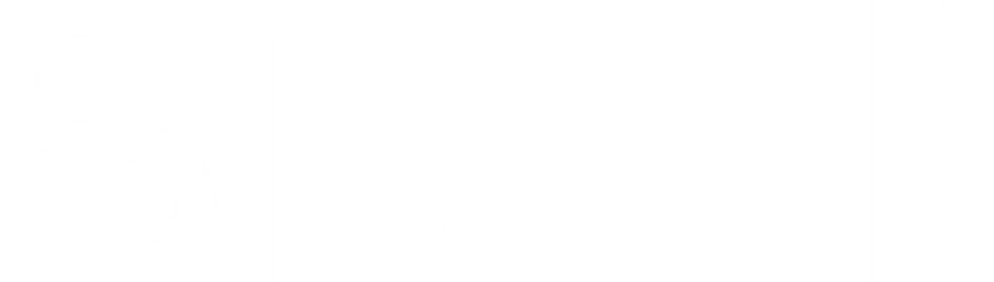 stlth-logo